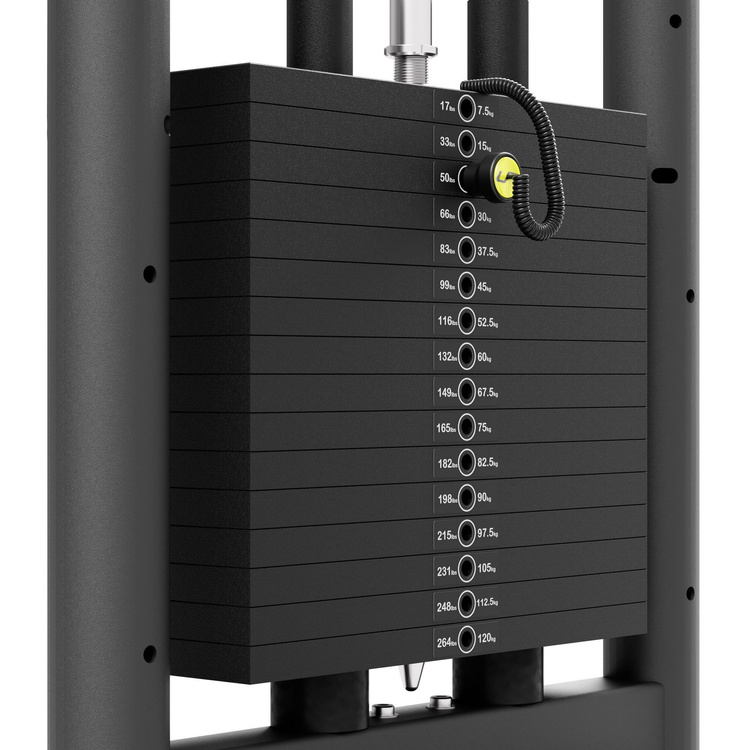 Dip & Pull-Up Assist UF-009 - UpForm